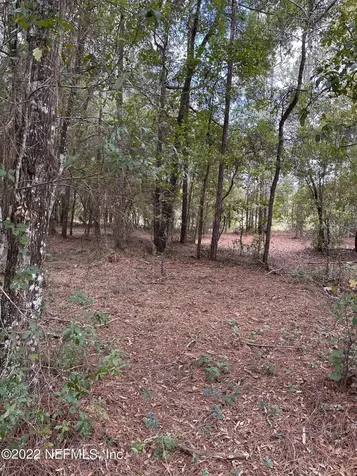 00-13 SE 265th Court Road Umatilla FL 32784