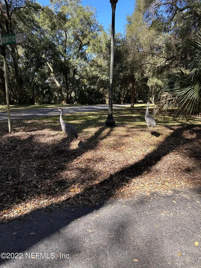 00-10 SE 265th Court Road Umatilla FL 32784