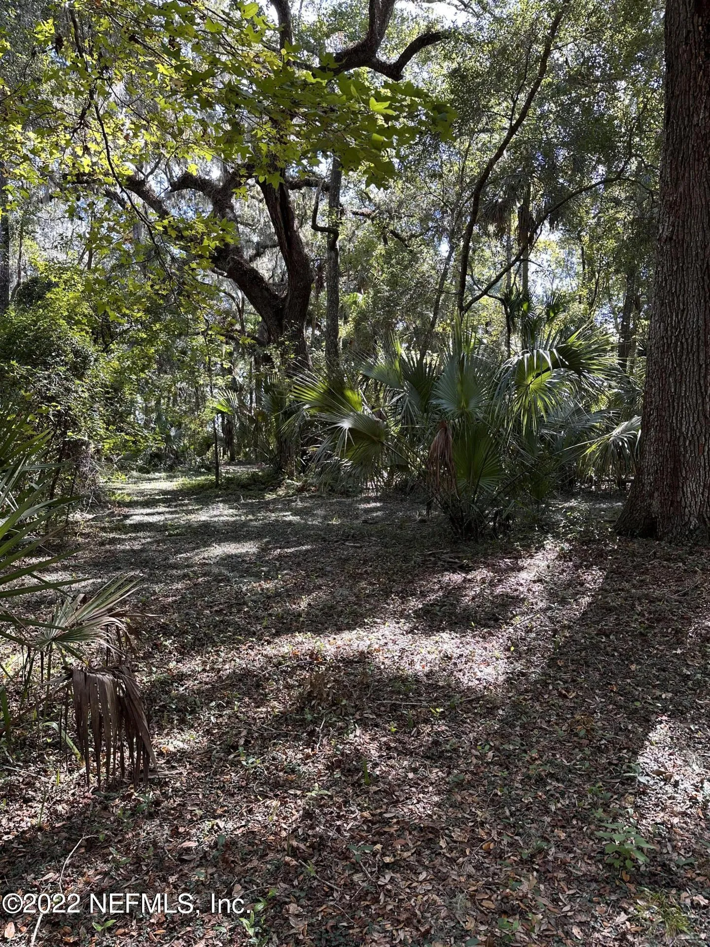 00-10 SE 265th Court Road Umatilla FL 32784