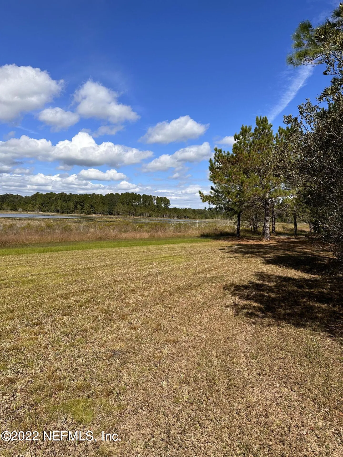 00-10 SE 265th Court Road Umatilla FL 32784