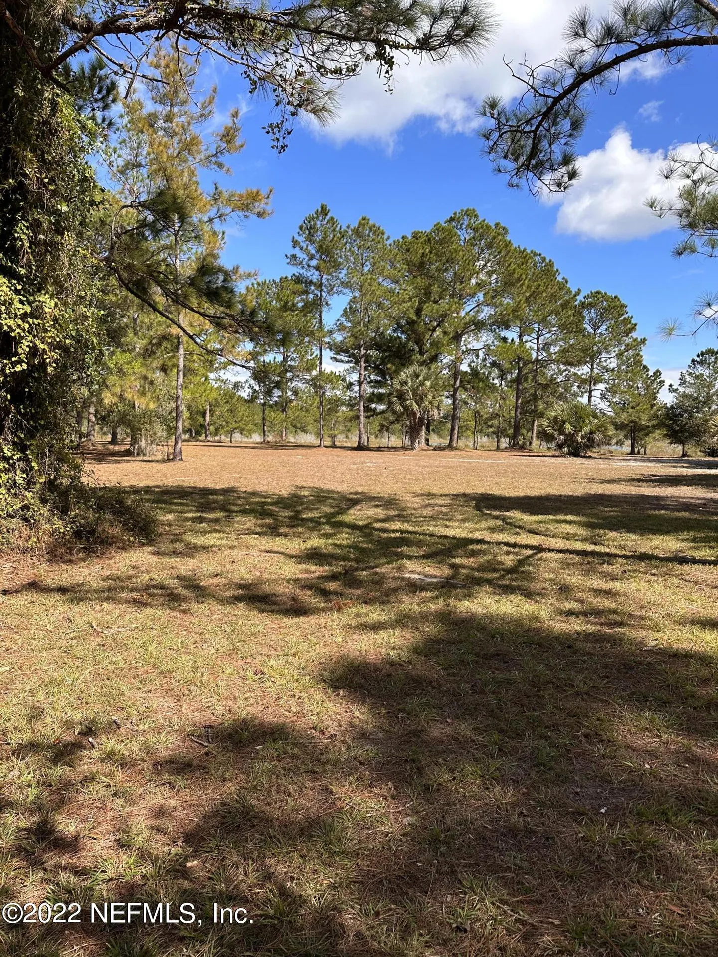 00-10 SE 265th Court Road Umatilla FL 32784