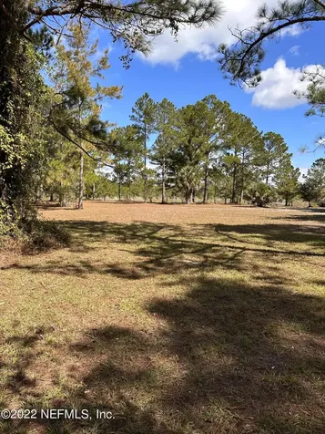 00-10 SE 265th Court Road Umatilla FL 32784