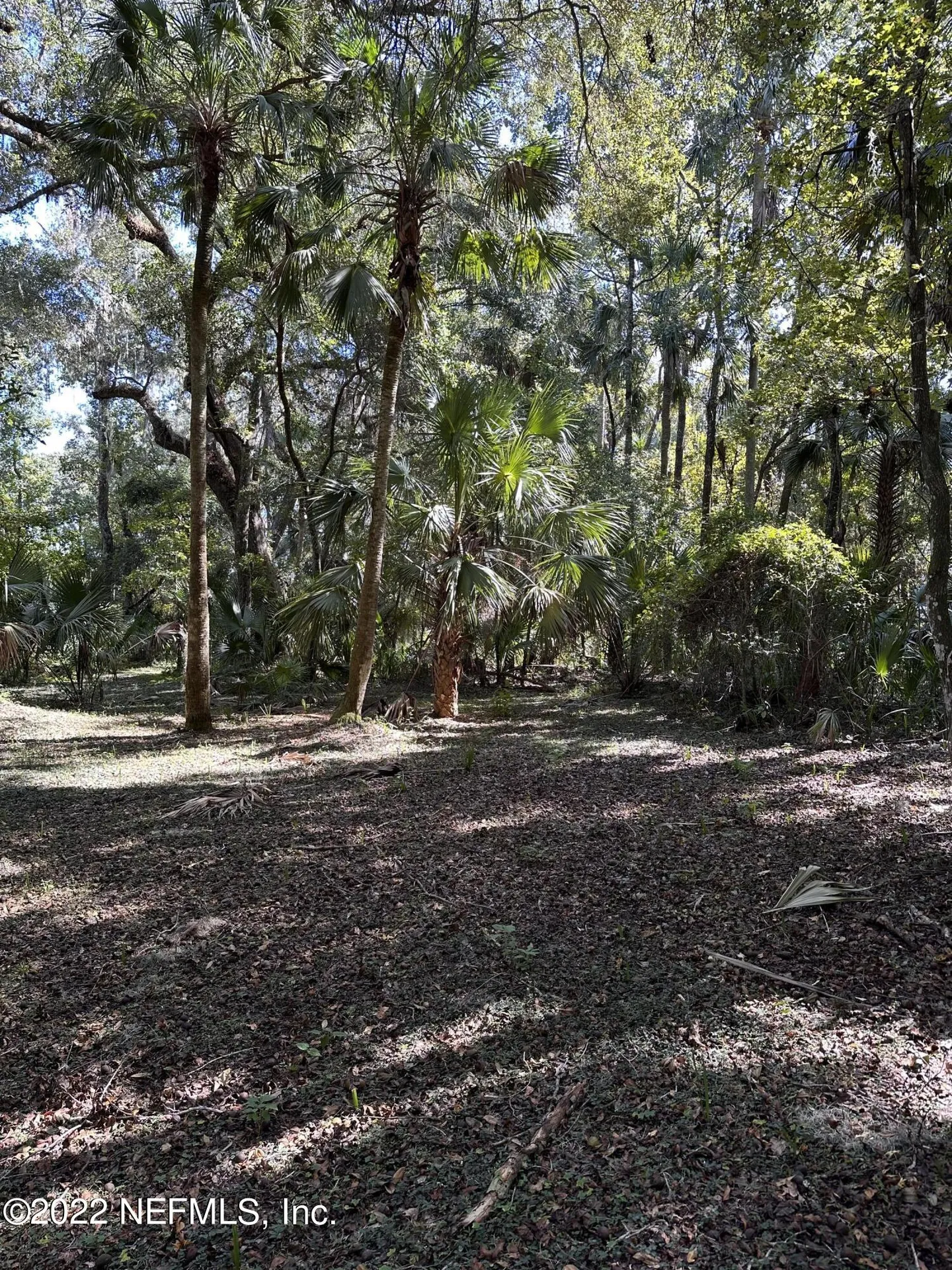 00-11 SE 265th Court Road Umatilla FL 32784