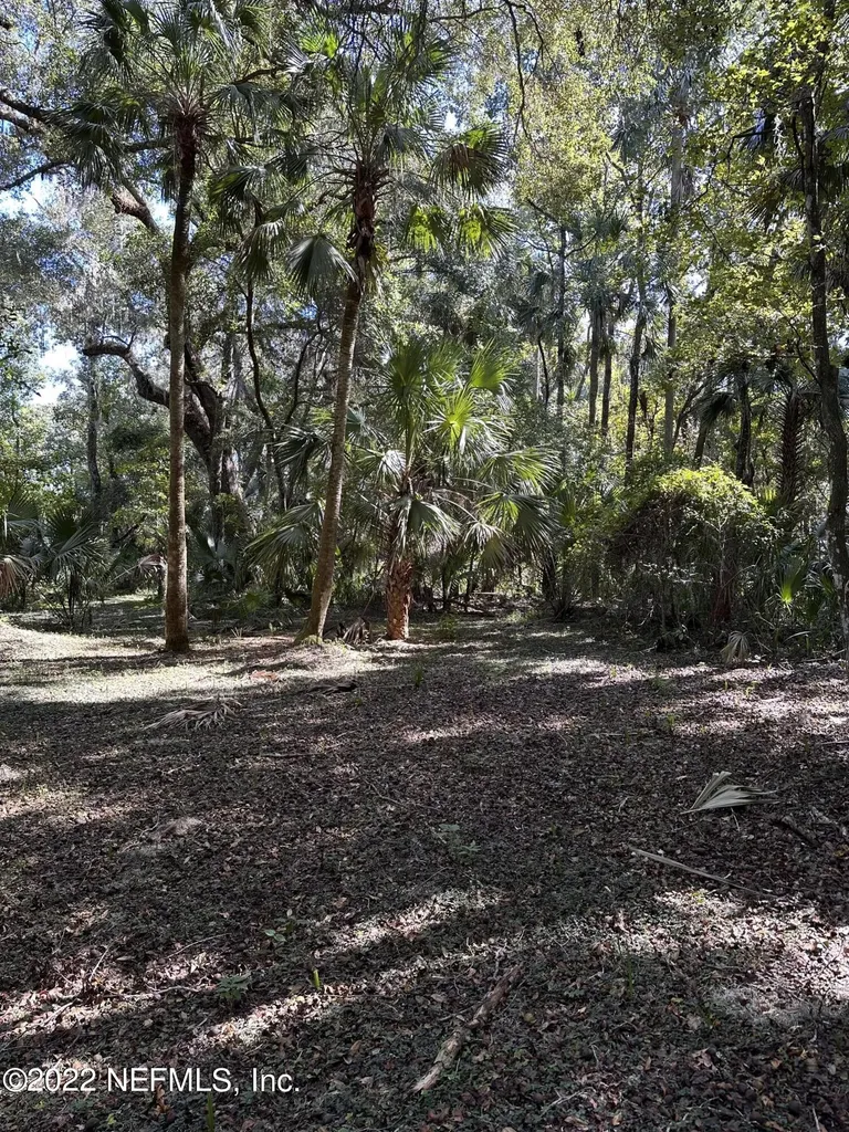 00-08 SE 265th Court Road Umatilla FL 32784