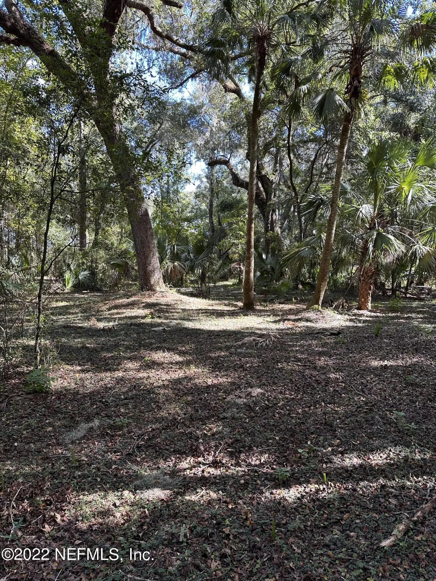 00-08 SE 265th Court Road Umatilla FL 32784