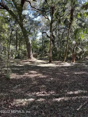 00-08 SE 265th Court Road Umatilla FL 32784