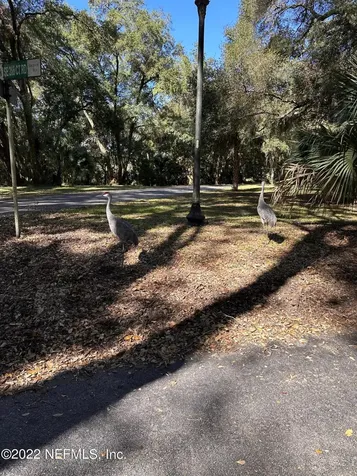00-09 SE 265th Court Road Umatilla FL 32784