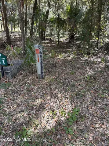 00-01 SE 159th Lane Umatilla FL 32784