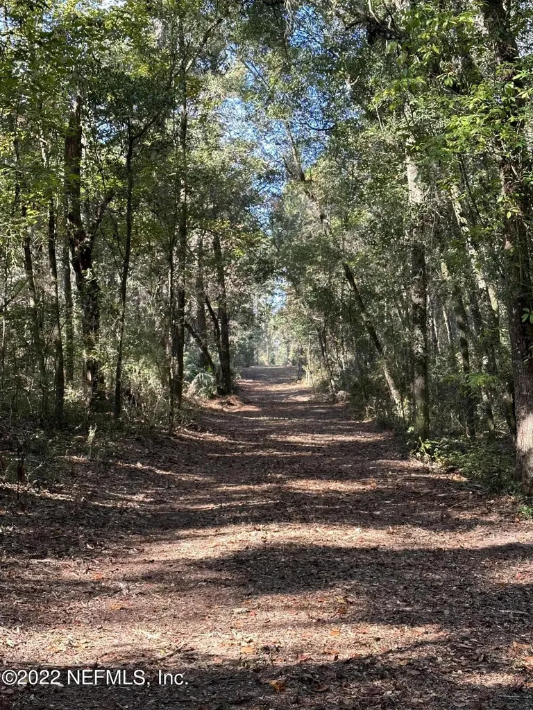 0 Foxtail Avenue Middleburg FL 32068