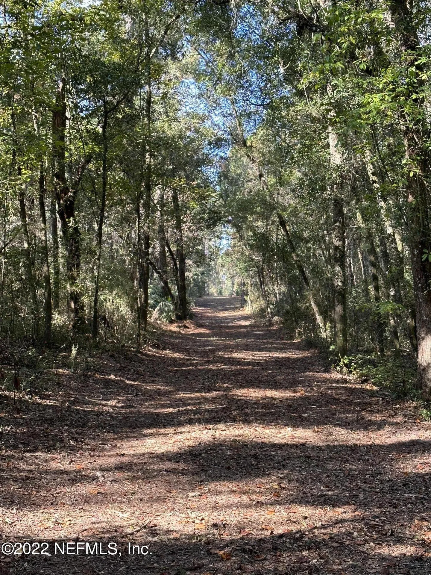 0 Foxtail Avenue Middleburg FL 32068