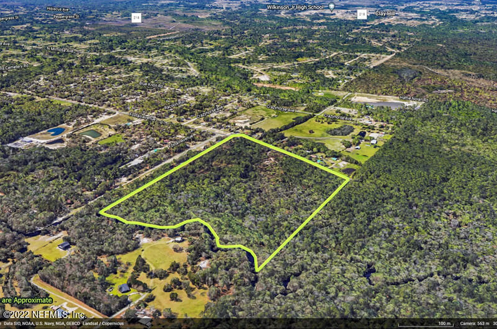 0 Foxtail Avenue Middleburg FL 32068
