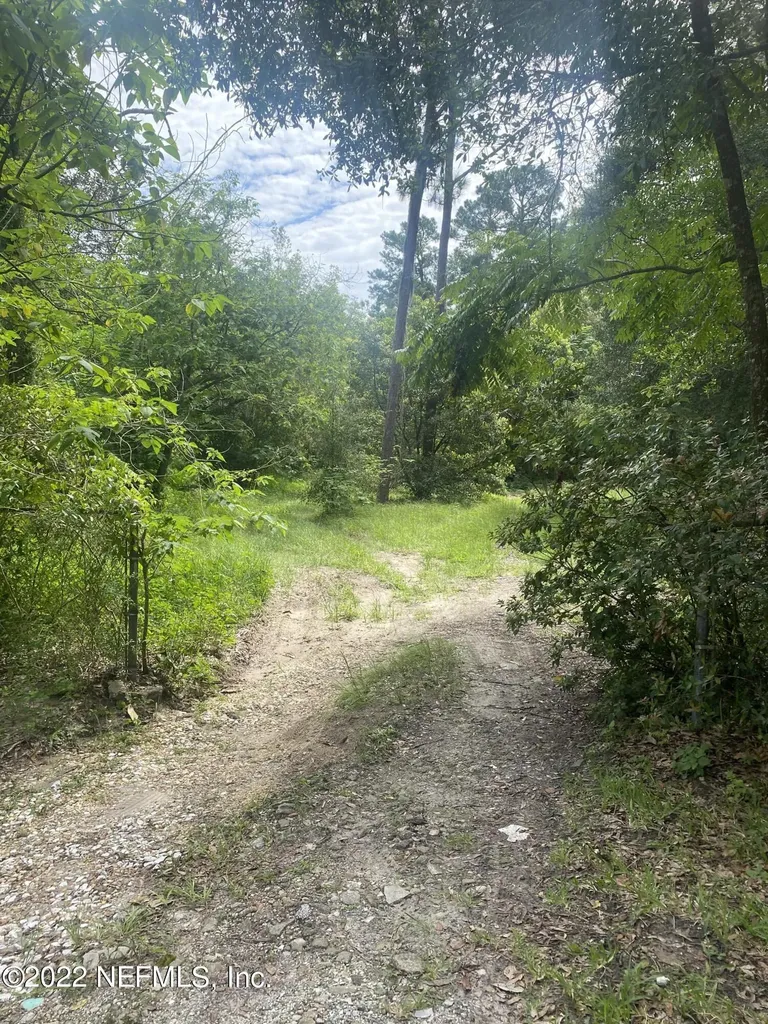 1705 Live Oak Drive Jacksonville FL 32246