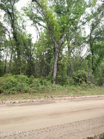 0260 Wilson Drive Interlachen FL 32148