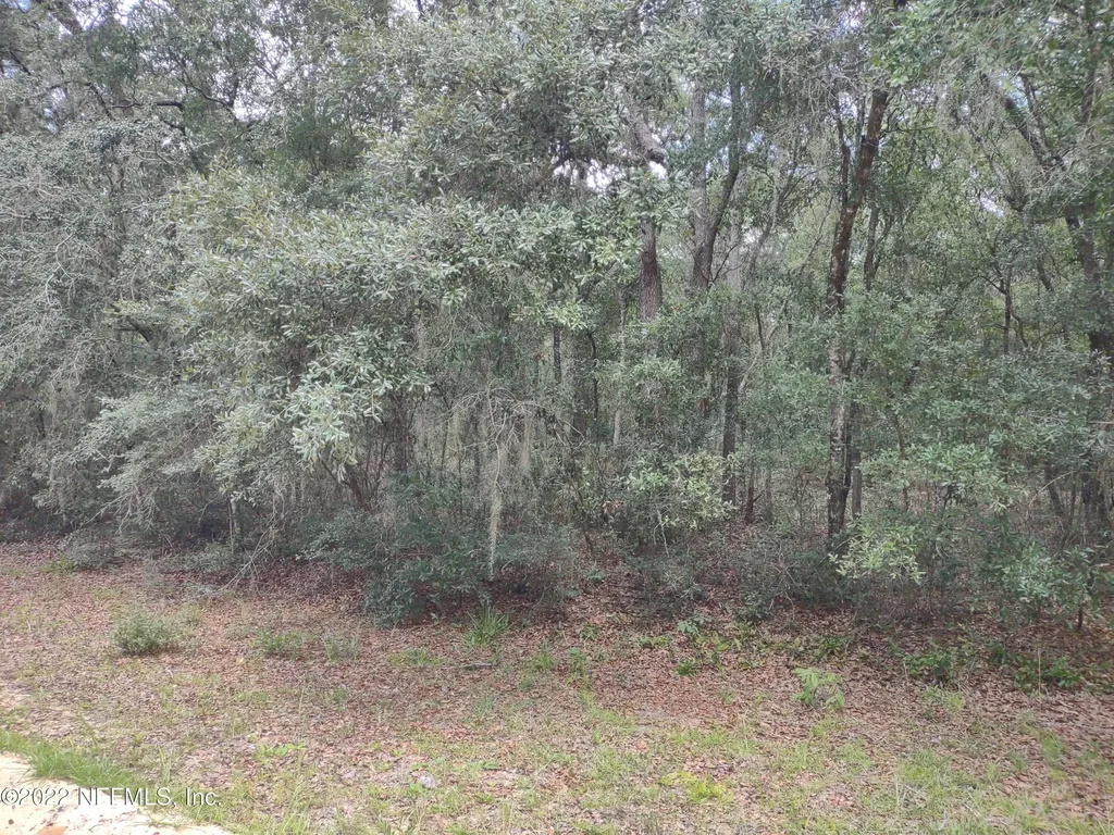 0040 Brett Avenue Interlachen FL 32148