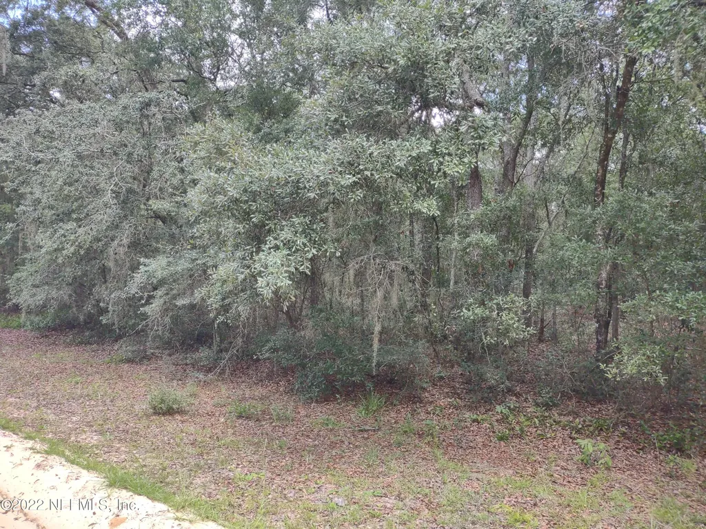 0040 Brett Avenue Interlachen FL 32148