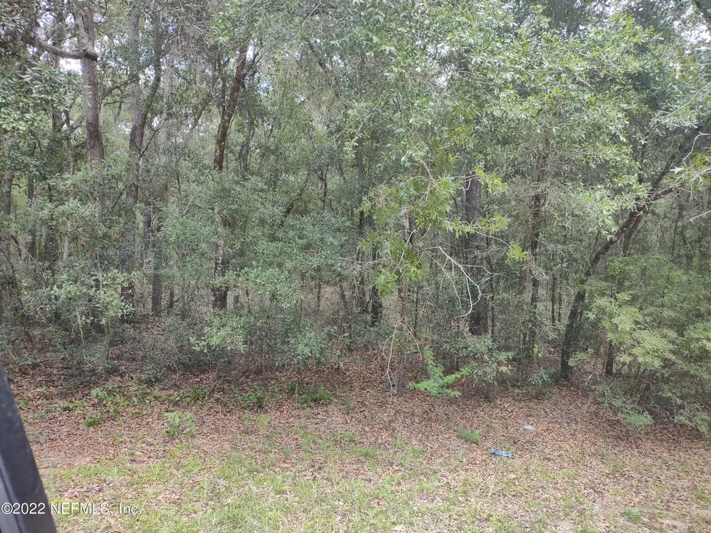 0040 Brett Avenue Interlachen FL 32148