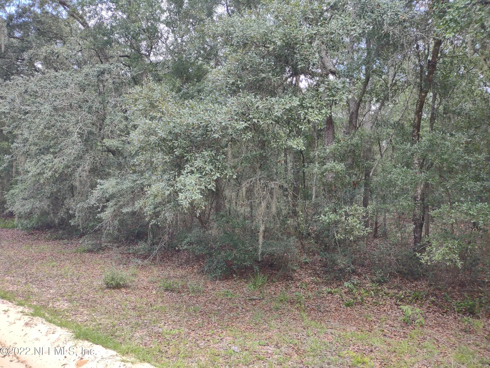 0040 Brett Avenue Interlachen FL 32148