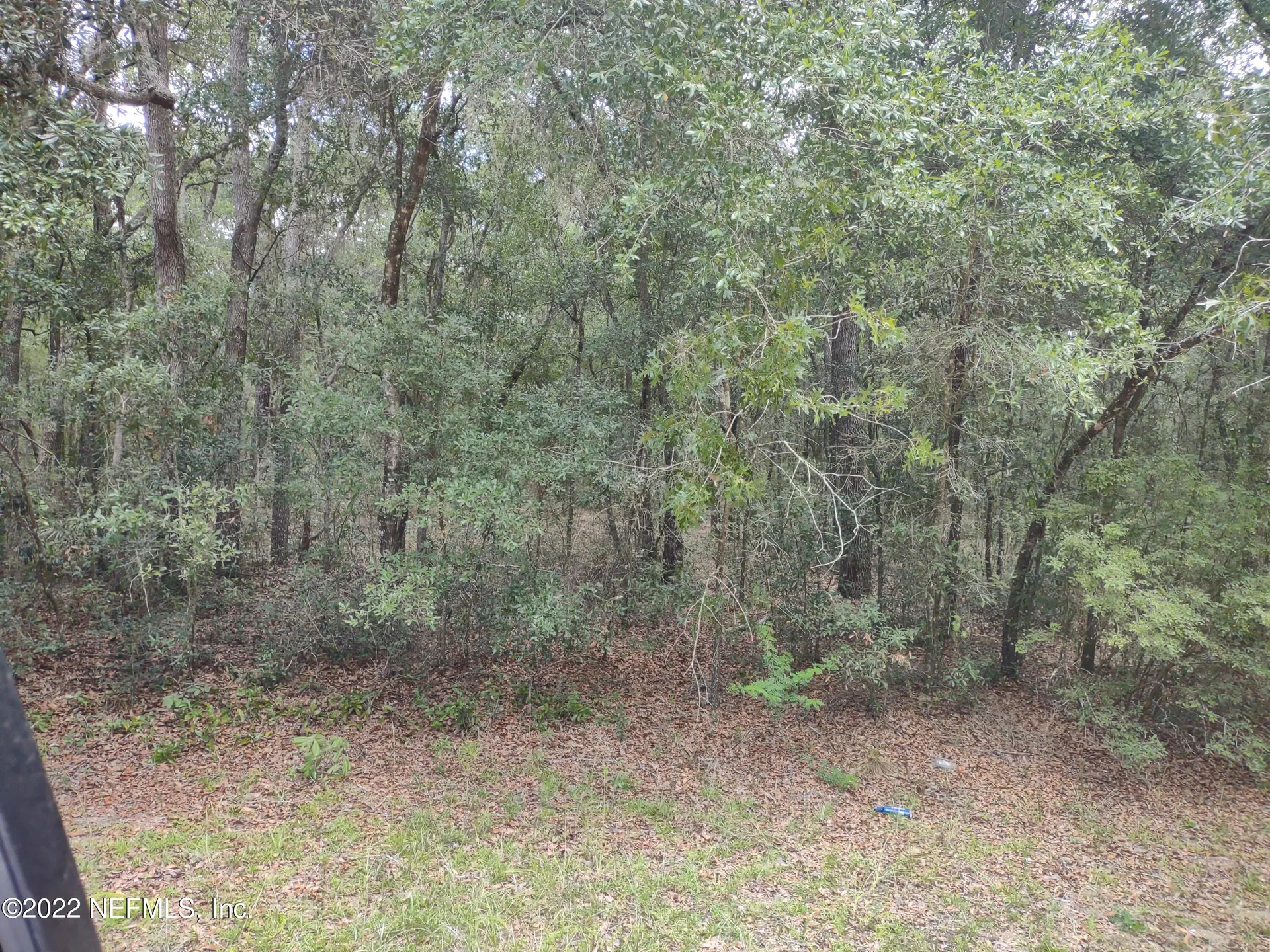 0040 Brett Avenue Interlachen FL 32148