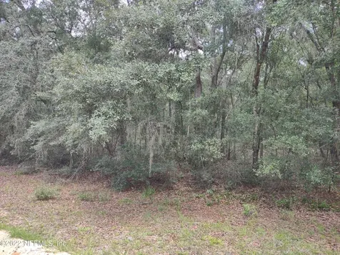0040 Brett Avenue Interlachen FL 32148