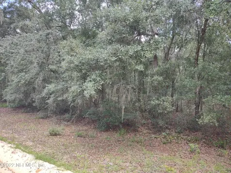 0040 Brett Avenue Interlachen FL 32148