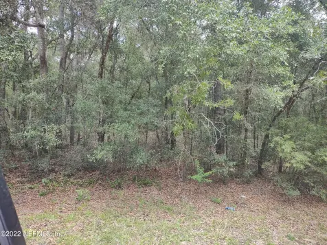 0040 Brett Avenue Interlachen FL 32148
