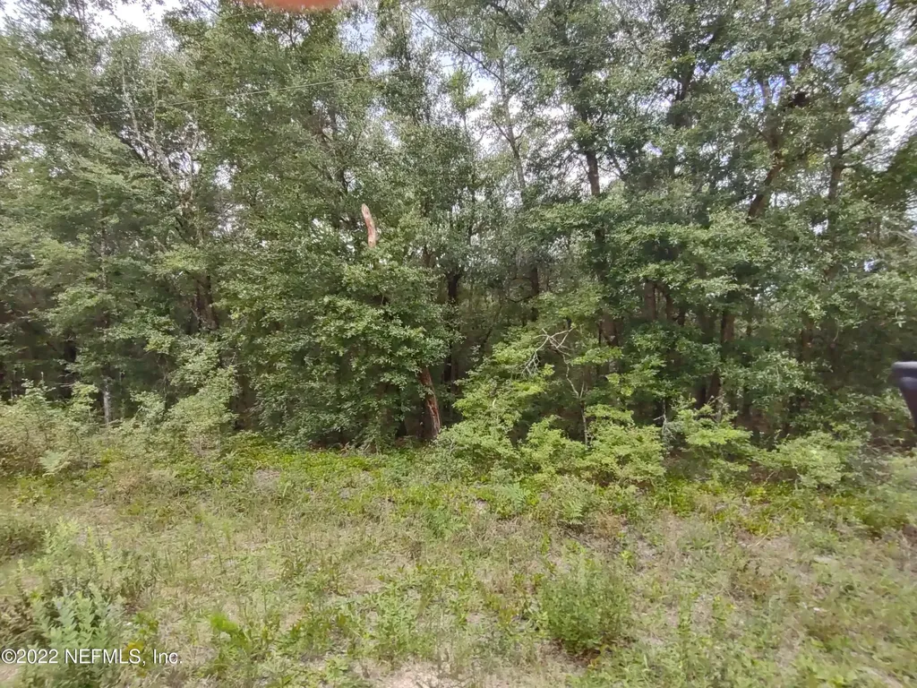 24 Neilsen Avenue Interlachen FL 32148