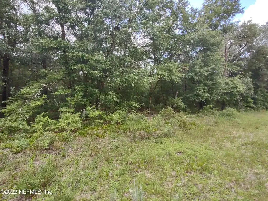 24 Neilsen Avenue Interlachen FL 32148