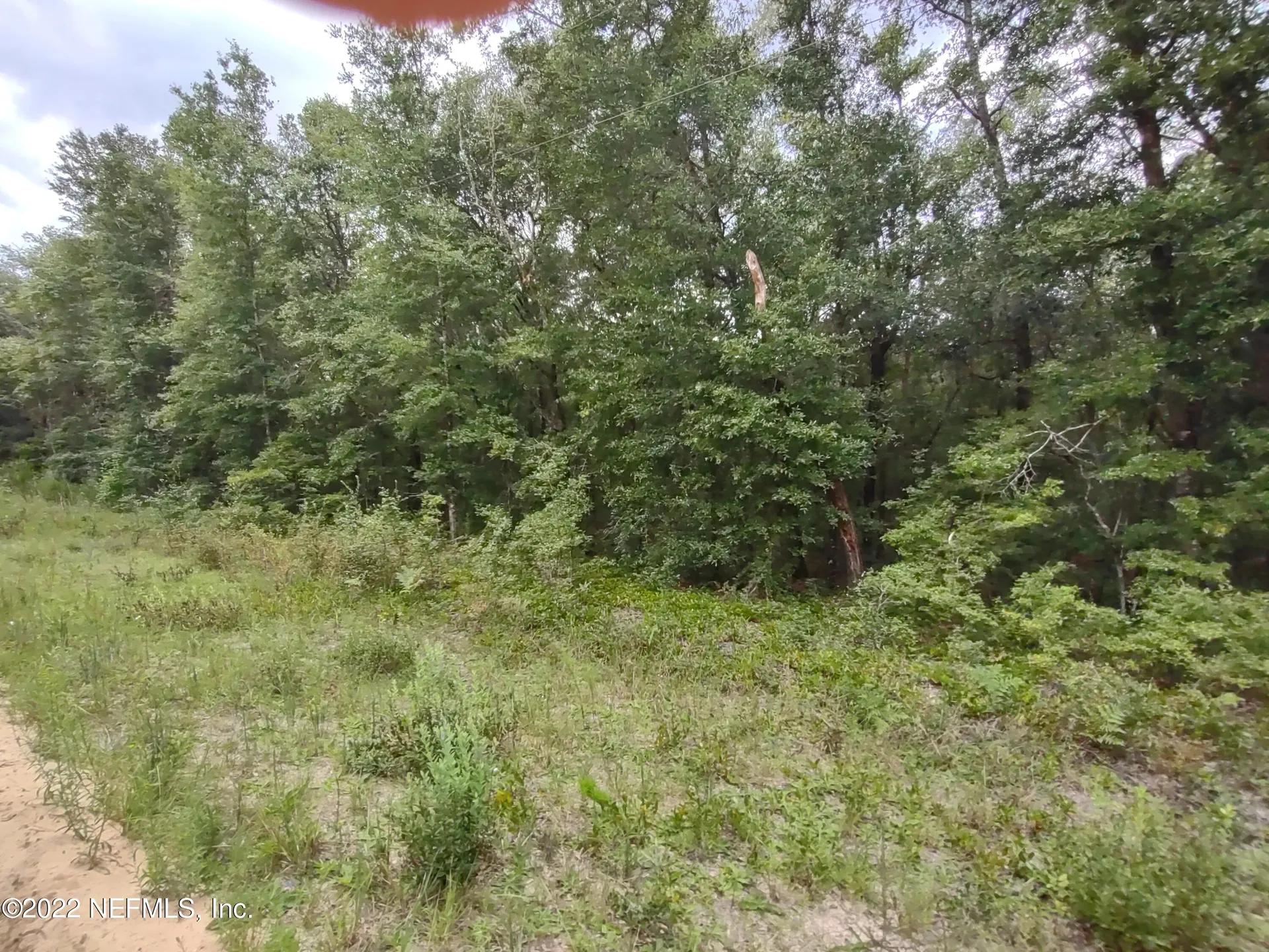24 Neilsen Avenue Interlachen FL 32148
