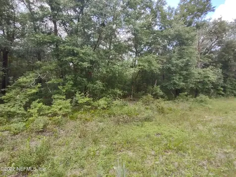24 Neilsen Avenue Interlachen FL 32148