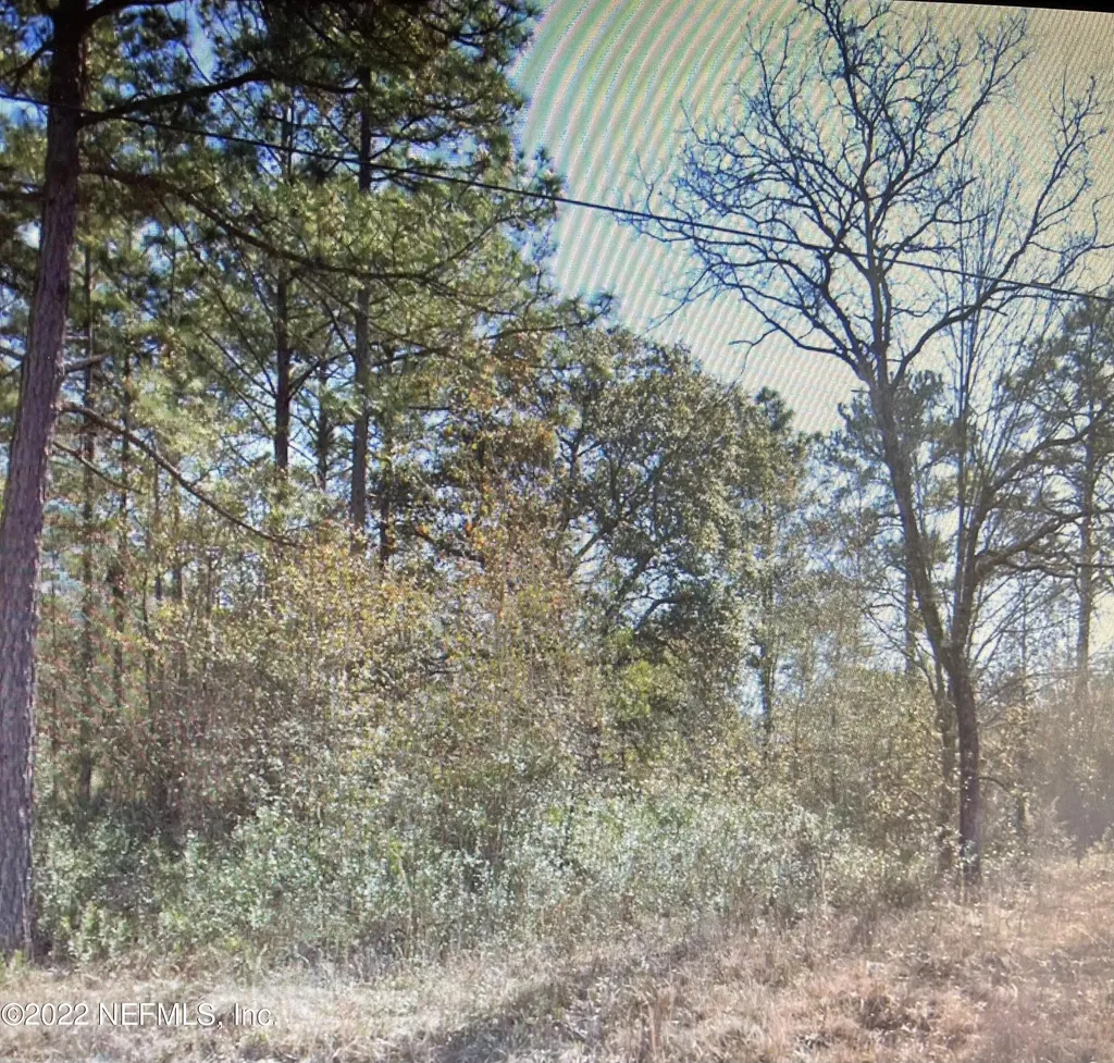 1907 Openwoods Road Middleburg FL 32068