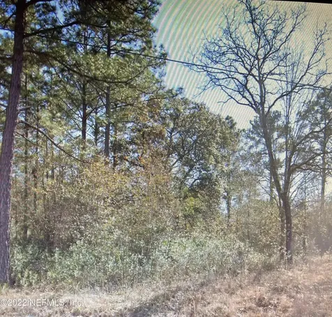 1907 Openwoods Road Middleburg FL 32068