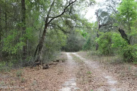 3667 SE 8th Avenue Melrose FL 32666
