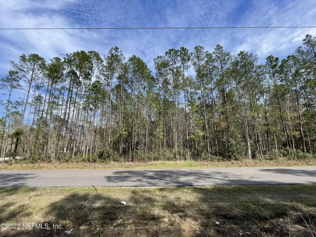 10130 Crotty Avenue Hastings FL 32145