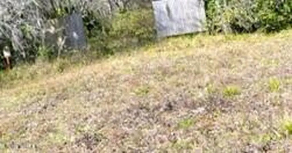 419 State Road 207 East Palatka FL 32131