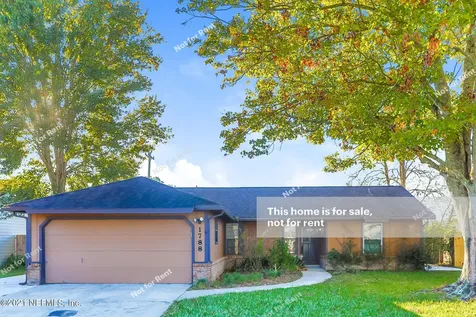 1788 Shannon Lake Drive Middleburg FL 32068