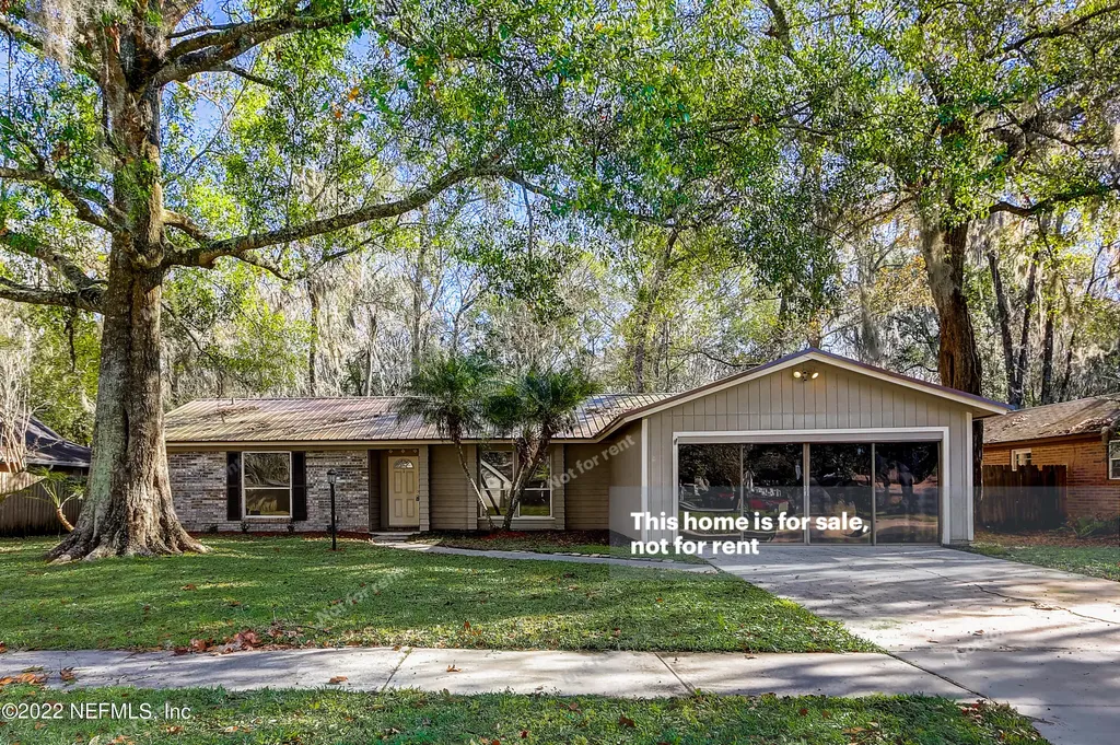 1413 Dolphin Street Orange Park FL 32073