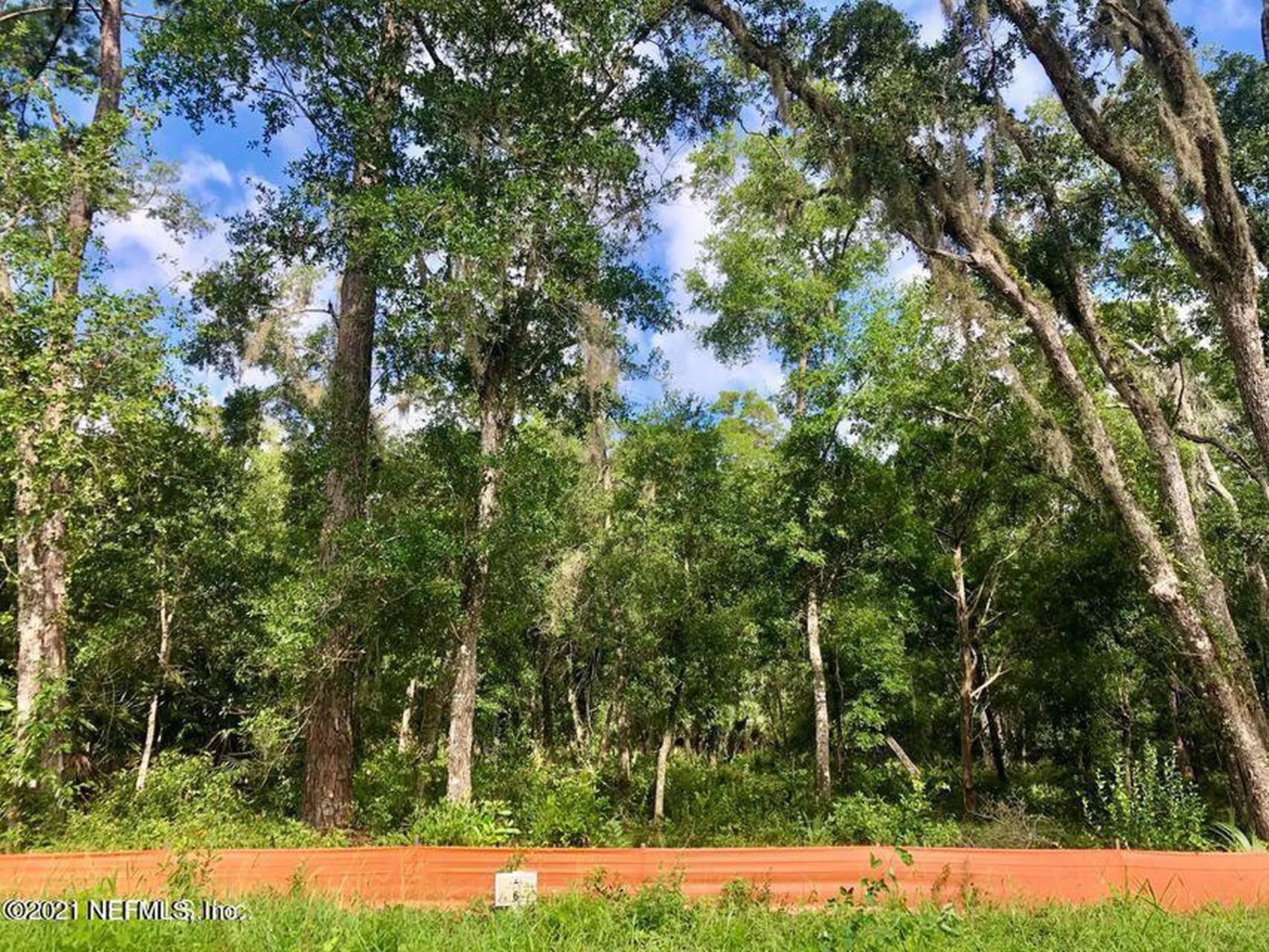 137 Canopy Hall Drive St. Augustine FL 32095