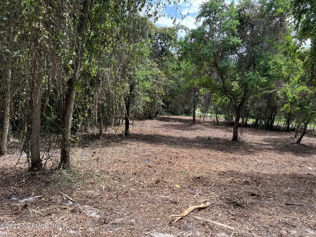 4070 Honeysuckle Circle Middleburg FL 32068