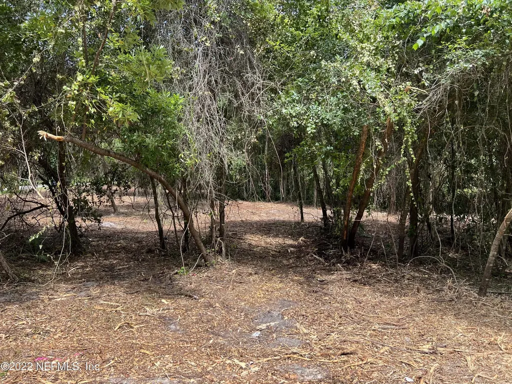 4070 Honeysuckle Circle Middleburg FL 32068