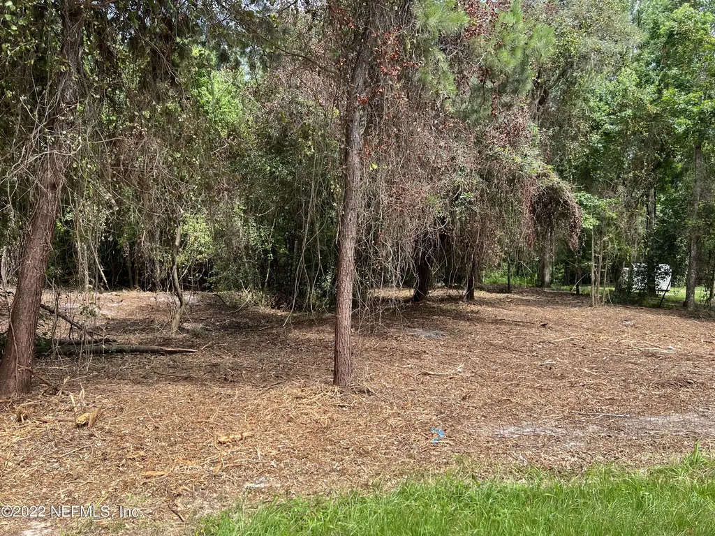 4070 Honeysuckle Circle Middleburg FL 32068