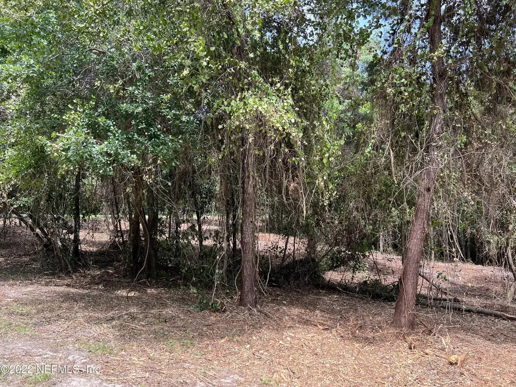 4070 Honeysuckle Circle Middleburg FL 32068