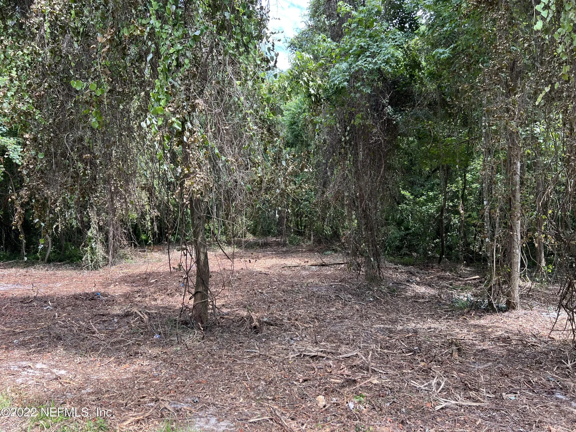 4070 Honeysuckle Circle Middleburg FL 32068