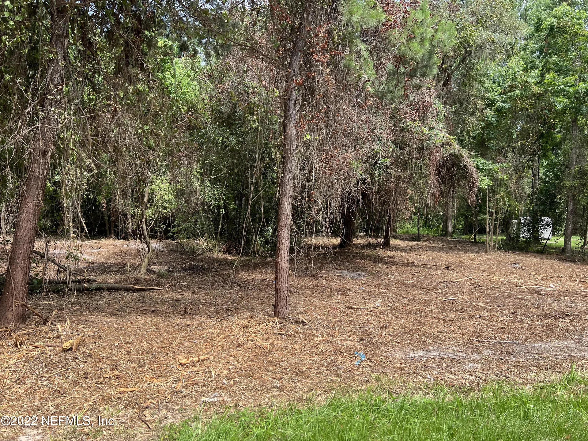 4070 Honeysuckle Circle Middleburg FL 32068
