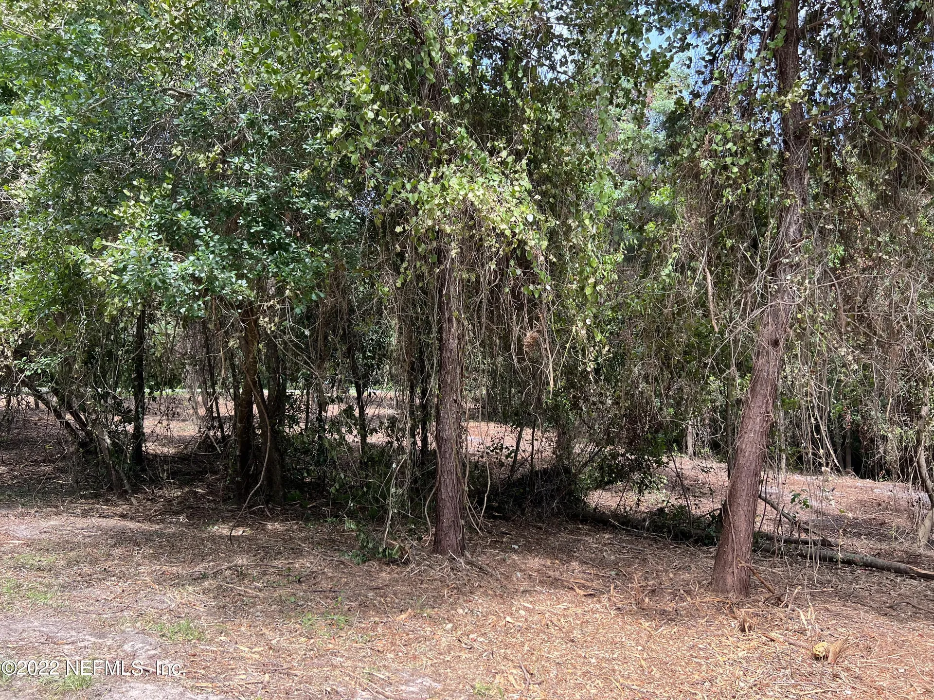 4070 Honeysuckle Circle Middleburg FL 32068