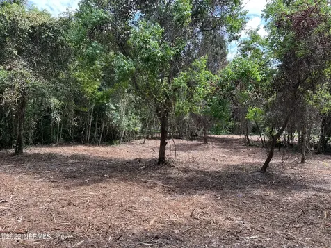 4070 Honeysuckle Circle Middleburg FL 32068