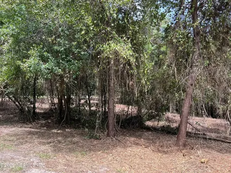 4070 Honeysuckle Circle Middleburg FL 32068