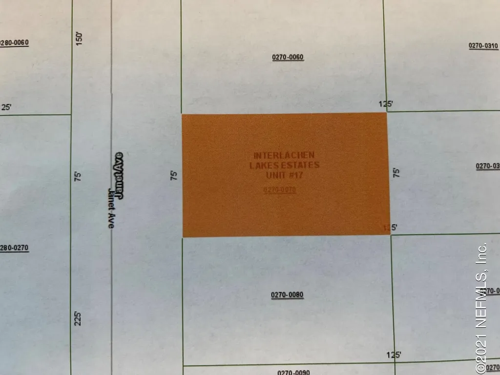 0 Janet Avenue Interlachen FL 32148