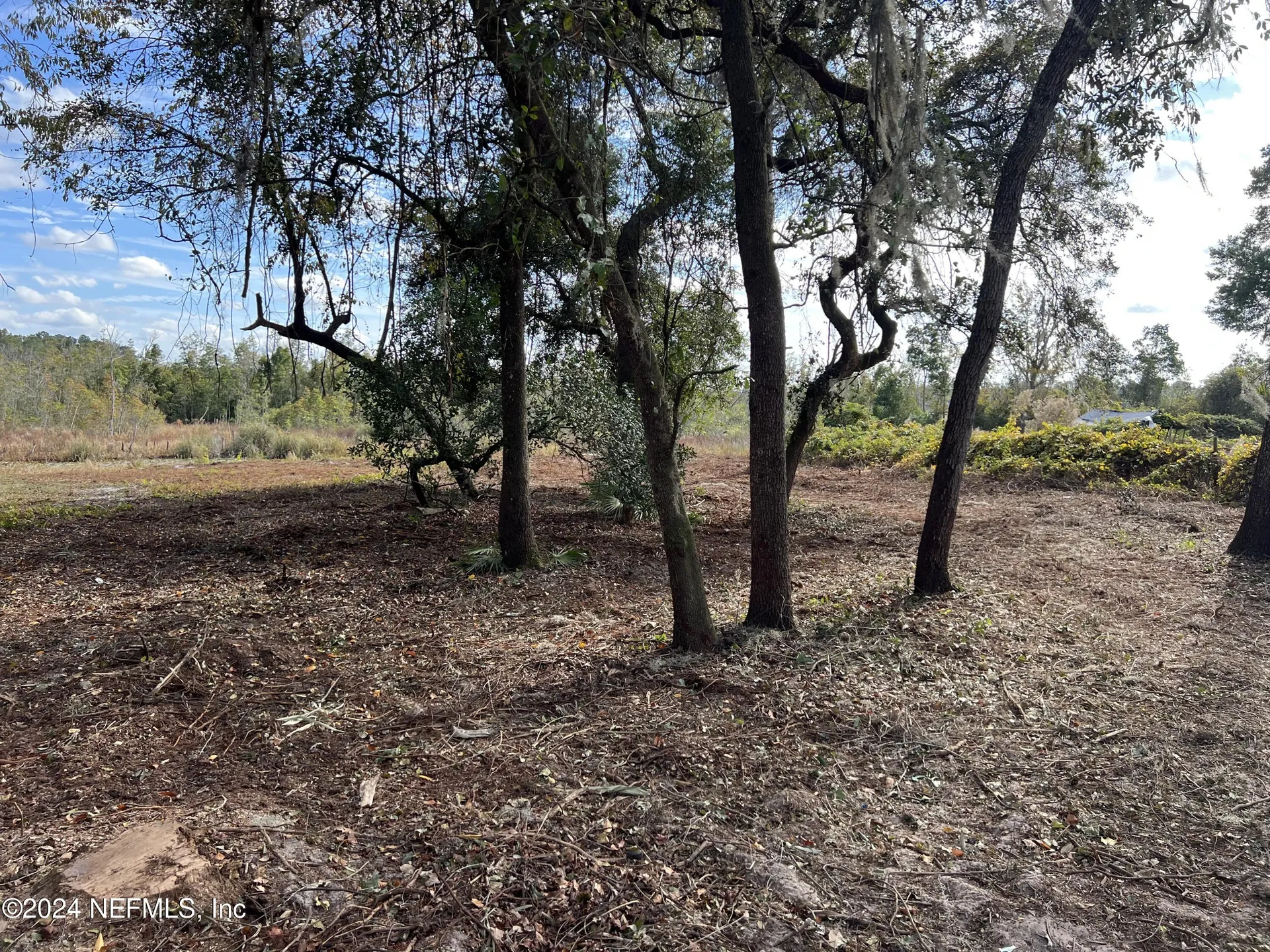 000 Ashley Street Hawthorne FL 32640