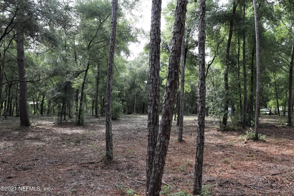 5334 County Road 352 Keystone Heights FL 32656