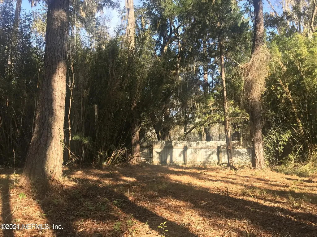 0 Peeples Road Yulee FL 32097